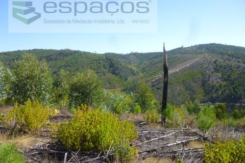 Gård i Cambas, Castelo Branco, Cambas - € 195 000 | Ref: 4768/EG - foto 26