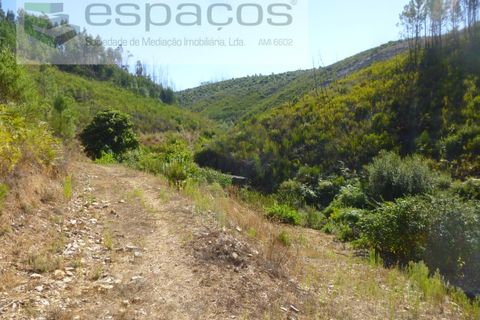 Gård i Cambas, Castelo Branco, Cambas - € 195 000 | Ref: 4768/EG - foto 29