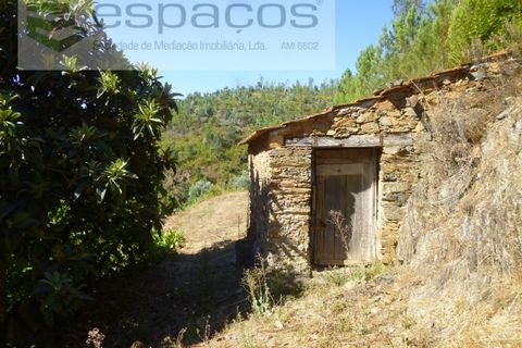 Gård i Cambas, Castelo Branco, Cambas - € 195 000 | Ref: 4768/EG - foto 32