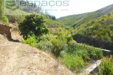 Gård i Cambas, Castelo Branco, Cambas - € 195 000 | Ref: 4768/EG - foto 33