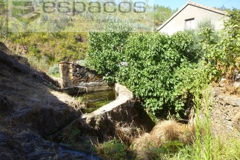 Gård i Cambas, Castelo Branco, Cambas - € 195 000 | Ref: 4768/EG - foto 41