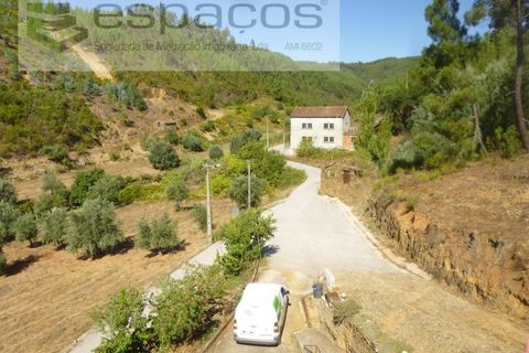 Gård i Cambas, Castelo Branco, Cambas - € 195 000 | Ref: 4768/EG - foto 50
