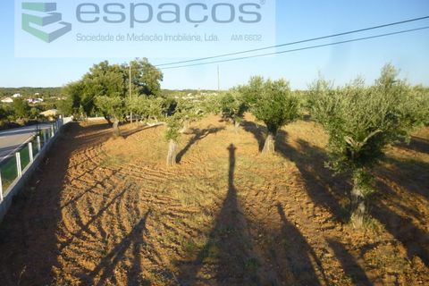 Helårsgrund i Castelo Branco, Castelo Branco, Castelo Branco - € 55.000 | Ref: 5303/EG - foto 3