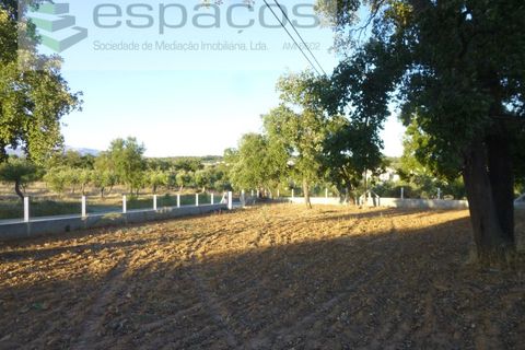 Helårsgrund i Castelo Branco, Castelo Branco, Castelo Branco - € 55.000 | Ref: 5303/EG - foto 4