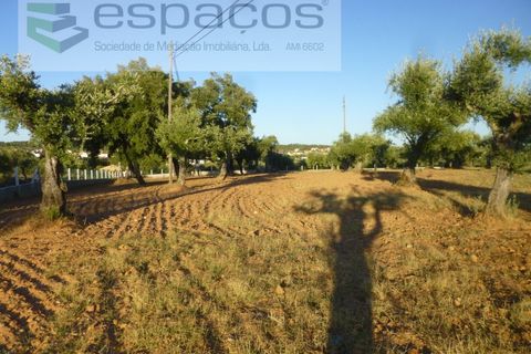 Helårsgrund i Castelo Branco, Castelo Branco, Castelo Branco - € 55.000 | Ref: 5303/EG - foto 6