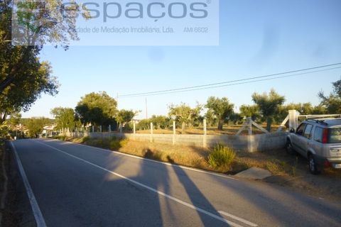 Helårsgrund i Castelo Branco, Castelo Branco, Castelo Branco - € 55.000 | Ref: 5303/EG - foto 16