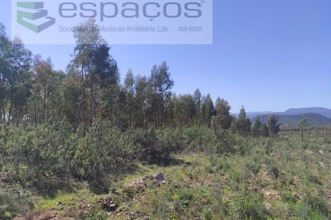 Helårsgrund i Castelo Branco, Castelo Branco, Castelo Branco - € 36.000 | Ref: 3801/MR - foto 6