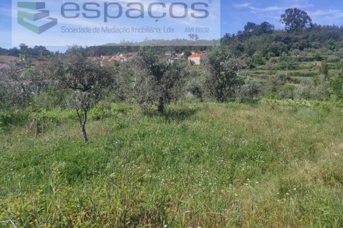 Helårsgrund i Castelo Branco, Castelo Branco, Castelo Branco - € 20.000 | Ref: 3825/MR - foto 1