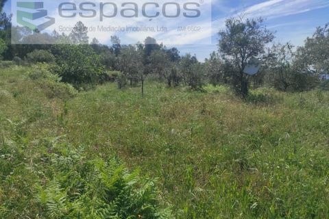 Helårsgrund i Castelo Branco, Castelo Branco, Castelo Branco - € 20.000 | Ref: 3825/MR - foto 2