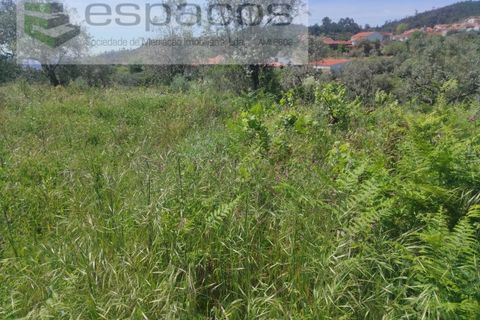 Helårsgrund i Castelo Branco, Castelo Branco, Castelo Branco - € 20.000 | Ref: 3825/MR - foto 3
