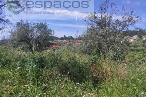 Helårsgrund i Castelo Branco, Castelo Branco, Castelo Branco - € 20.000 | Ref: 3825/MR - foto 7