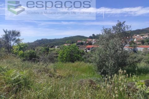 Helårsgrund i Castelo Branco, Castelo Branco, Castelo Branco - € 20.000 | Ref: 3825/MR - foto 10