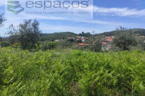 Helårsgrund i Castelo Branco, Castelo Branco, Castelo Branco - € 20.000 | Ref: 3825/MR - foto 15