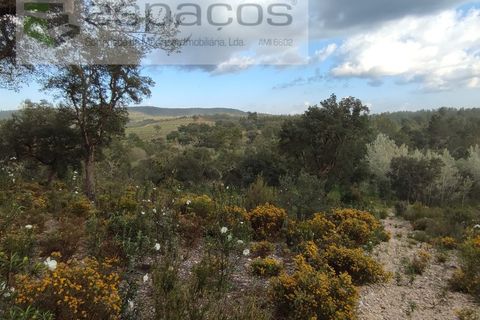 Helårsgrund i Castelo Branco, Castelo Branco, Castelo Branco - € 9.600 | Ref: 3810/EG - foto 5