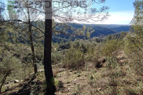Helårsgrund i Castelo Branco, Castelo Branco, Castelo Branco - € 7.000 | Ref: 3783/EG - foto 1