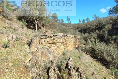 Helårsgrund i Castelo Branco, Castelo Branco, Castelo Branco - € 7.000 | Ref: 3783/EG - foto 2