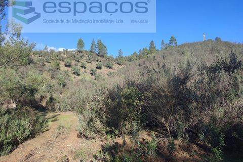 Helårsgrund i Castelo Branco, Castelo Branco, Castelo Branco - € 7.000 | Ref: 3783/EG - foto 6