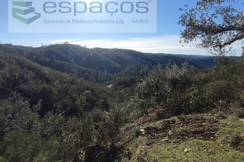 Helårsgrund i Castelo Branco, Castelo Branco, Castelo Branco - € 7.000 | Ref: 3783/EG - foto 8