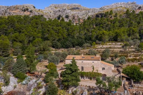 Masia a Pollenca, Mallorca, Pollenca - € 5.400.000 | Ref: 2173 - foto 2