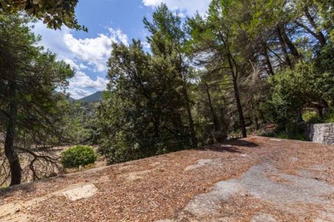 Masia a Pollenca, Mallorca, Pollenca - € 5.400.000 | Ref: 2173 - foto 13