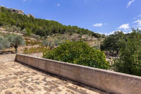 Masia a Pollenca, Mallorca, Pollenca - € 5.400.000 | Ref: 2173 - foto 14