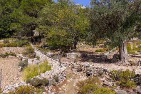 Masia a Pollenca, Mallorca, Pollenca - € 5.400.000 | Ref: 2173 - foto 17