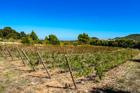 Masia a Capdepera, Mallorca, Capdepera - € 2.980.000 | Ref: 5099 - foto 31