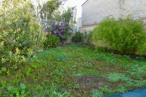Finca i Maella, Zaragoza, Maella - € 59.000 | Ref: 1041 - foto 12
