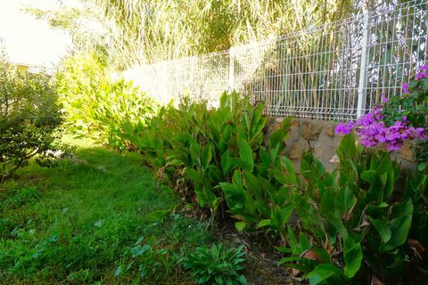 Finca i Maella, Zaragoza, Maella - € 59.000 | Ref: 1041 - foto 14