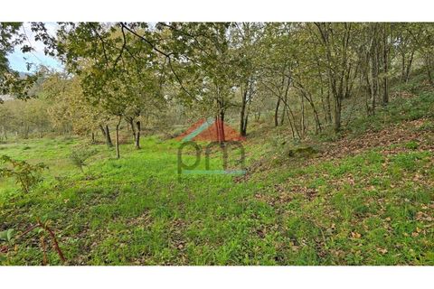 Tomt i Regilde, Porto, Regilde - € 180 000 | Ref: TE505 - foto 5