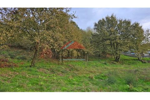 Tomt i Regilde, Porto, Regilde - € 180 000 | Ref: TE505 - foto 6