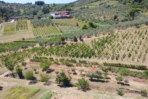Villa i Lucca, Lucca, Lucca - € 3 500 000 | Ref: IA03495-bis - foto 19