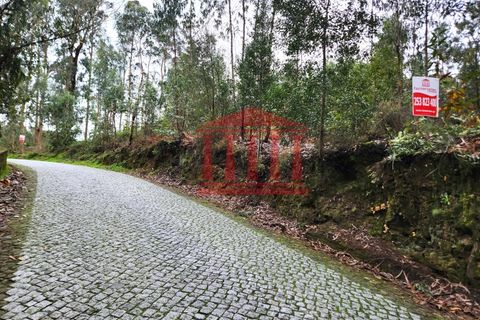 Helårsgrund i Barcelos, Braga, Barcelos - € 50.000 | Ref: 272T001020 - foto 3