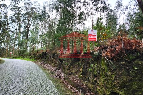 Helårsgrund i Barcelos, Braga, Barcelos - € 50.000 | Ref: 272T001020 - foto 5