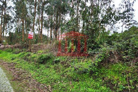 Helårsgrund i Barcelos, Braga, Barcelos - € 50.000 | Ref: 272T001020 - foto 6