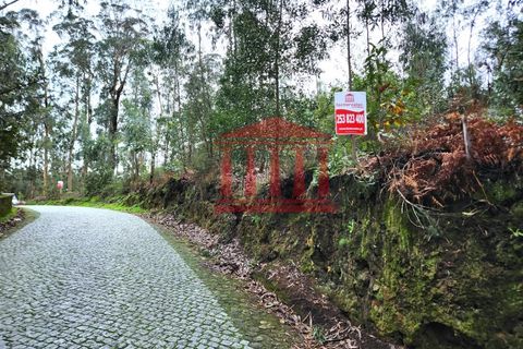 Helårsgrund i Barcelos, Braga, Barcelos - € 50.000 | Ref: 272T001020 - foto 7