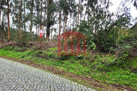 Helårsgrund i Barcelos, Braga, Barcelos - € 50.000 | Ref: 272T001020 - foto 8