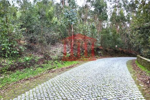 Helårsgrund i Barcelos, Braga, Barcelos - € 50.000 | Ref: 272T001020 - foto 9