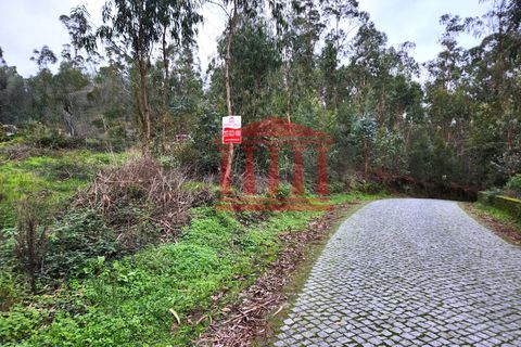 Helårsgrund i Barcelos, Braga, Barcelos - € 50.000 | Ref: 272T001020 - foto 10