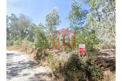 Helårsgrund i Barcelos, Braga, Barcelos - € 50.000 | Ref: 272T001020 - foto 1