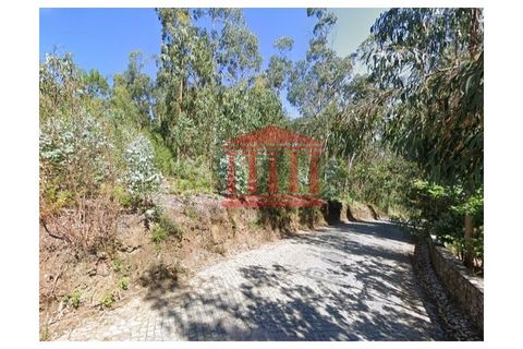 Helårsgrund i Barcelos, Braga, Barcelos - € 50.000 | Ref: 272T001020 - foto 2