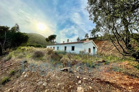 Landejendom i Monchique, Faro, Monchique - € 1.995.000 | Ref: EXP_129 - foto 1