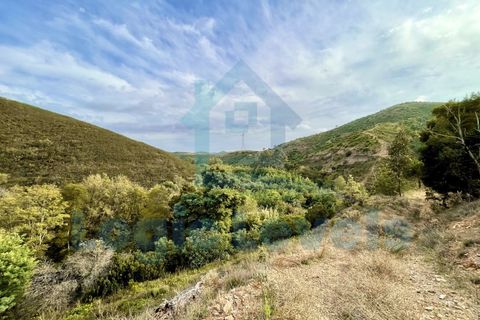 Landejendom i Monchique, Faro, Monchique - € 1.995.000 | Ref: EXP_129 - foto 5