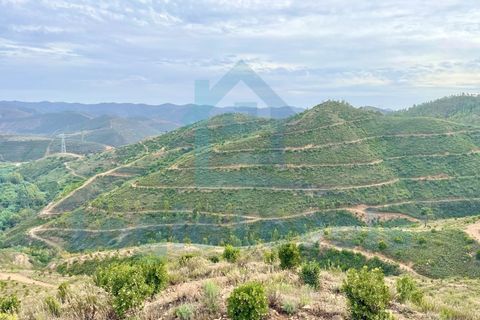 Landejendom i Monchique, Faro, Monchique - € 1.995.000 | Ref: EXP_129 - foto 9