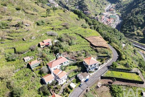 Terra a Ribeira Brava, Madeira, Ribeira Brava - € 30.000 | Ref: 115700 - foto 3