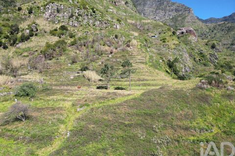 Terra a Ribeira Brava, Madeira, Ribeira Brava - € 30.000 | Ref: 115700 - foto 4