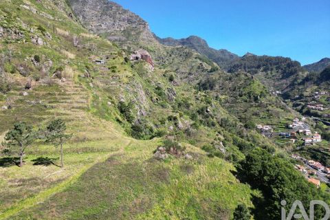 Terra a Ribeira Brava, Madeira, Ribeira Brava - € 30.000 | Ref: 115700 - foto 5