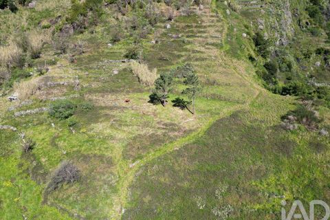 Terra a Ribeira Brava, Madeira, Ribeira Brava - € 30.000 | Ref: 115700 - foto 6