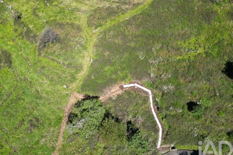 Terra a Ribeira Brava, Madeira, Ribeira Brava - € 30.000 | Ref: 115700 - foto 7