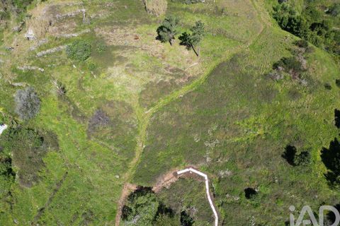 Terra a Ribeira Brava, Madeira, Ribeira Brava - € 30.000 | Ref: 115700 - foto 8